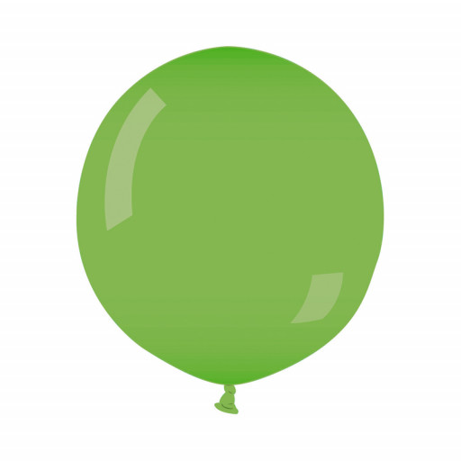Sachet de 1 Ballon géant Rond Diam 80cm Vert Anis -11