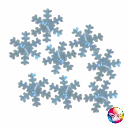 Confettis Flocons Argent 18Mm - 14 G