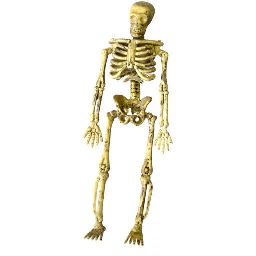 Lot de 4 Squelettes Articules 3D à Suspendre 14.5Cm