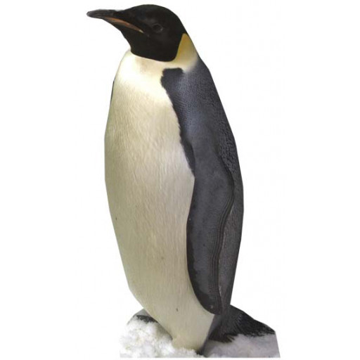 Figurine Géante Carton Pingouin 86cm