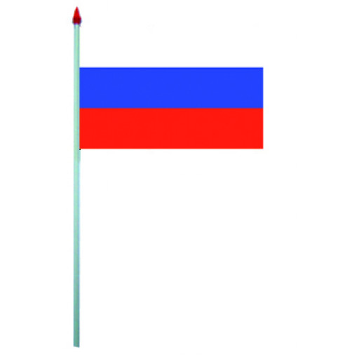 Sachet de 10 Drapeaux Plastique 9.5 X 16cm Russie