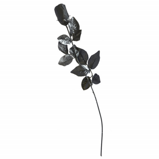 Rose Noire 40cm