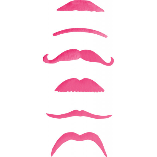 Pack de 6 Moustaches Roses Modèles Assortis