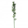 Tige de Bambou Decoration 1.50 M