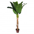 Bananier en En Pot avec 9 Feuilles - 1.60 M Pvc