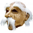 Masque Souple Vieux A/Cheveux Sourcils-Moust Blancs Adulte Pvc