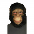 Masque Complet Latex Adulte "Chimpanzé"