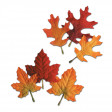 Sachet de 12 Feuilles D'Automne Erable et Chene Polyester 11/14cm