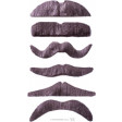 Pack de 12 Moustaches 6 Modèles Assortis Gris - Auto Adhesives