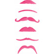Pack de 6 Moustaches Roses Modèles Assortis