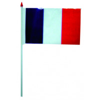 Sachet de 10 Drapeaux Plastique 9.5 X 16cm France 123DEG-3700638216244-10016633