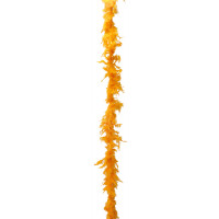 Boa Plumes Environ 160cm 30 G Orange 123DEG-3700638203602-10023079