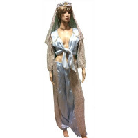 Orientale bleue - costume femme orient à louer DGZL-200527 de Non