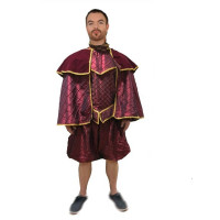 Henri XIII, The king of England Luxe - costume historique à louer DGZL-200437 de Non