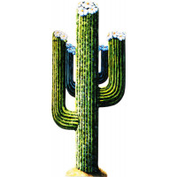 Decor Cactus Carton 106cm - Imp 2 Faces 123DEG-34689552772-10018609