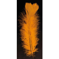 Sachet Plumes Pied Plat Orange 15cm Env 25 G - 90/100 Plumes Env 123DEG-1002183-10032512