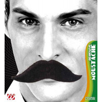 Moustaches de Roi Auto Adhesives 123DEG-8003558083305-10021765