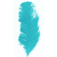 Plume Autruche Environ 28/32cm Turquoise 123DEG-3700638203794-10023153