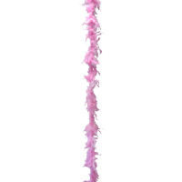 Boa Plumes Environ 160cm 30 G Rose 123DEG-3700638203596-10023080