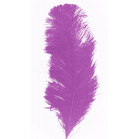 Plume Autruche Environ 28/32cm Violet 123DEG-3700638203824-10023155