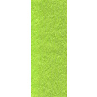 Papier Crépon Vert Anis / 0.50 X 2.00 M - La Feuille 123DEG-3065501010191-10022429
