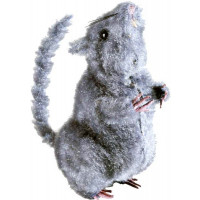 Rat Gris Poilu 14cm 2 modèles Ass 123DEG-8003558776405-10019077