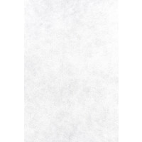 Nappe Non Tisse Spunbond 1.20 X 10 M Blanc 123DEG-3281517810017-10016824