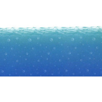 Decor Sous Marin 1.2 M X 9.10 M 123DEG-34689520719-10018776