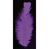 Sachet Plumes Pied Plat Violet 15cm Env 25 G 90/100 Plumes Env 123DEG-1002186-10032515