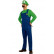 Luigi, personnage de Super Mario - location de déguisement adulte