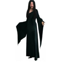 Morticia, la mère dans la Famille Addams - déguisement adulte à louer  DGZL-200405 de Non