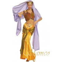 Danseuse Orientale Maharaja Girl - costume adulte à louer DGZL-100473 de Non
