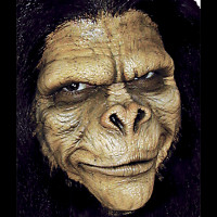 Prothese en Mousse Pour Maquillage Chimpanzé Vendue Seule 123DEG-733410320115-10017720